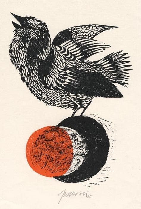 THE SET: actor coaching