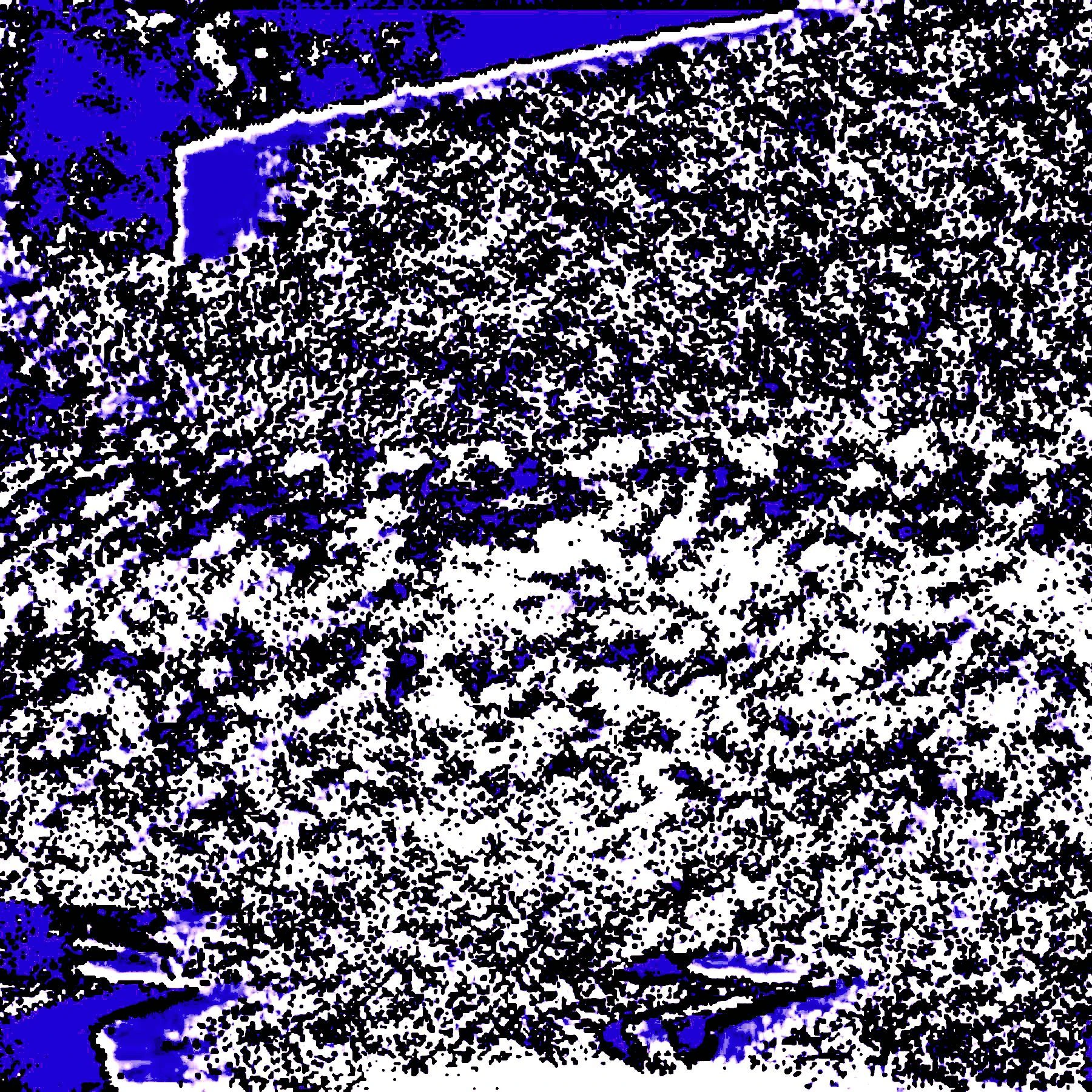 release image