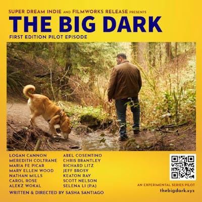 The Big Dark - First Edition Pilot