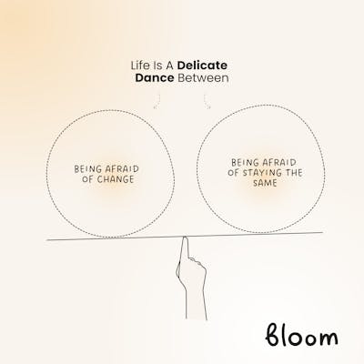 Bloom 