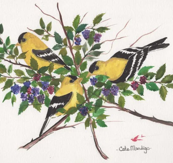 Folk Art at Scale: Cate Mandigo Interview