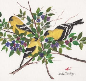 Folk Art at Scale: Cate Mandigo Interview