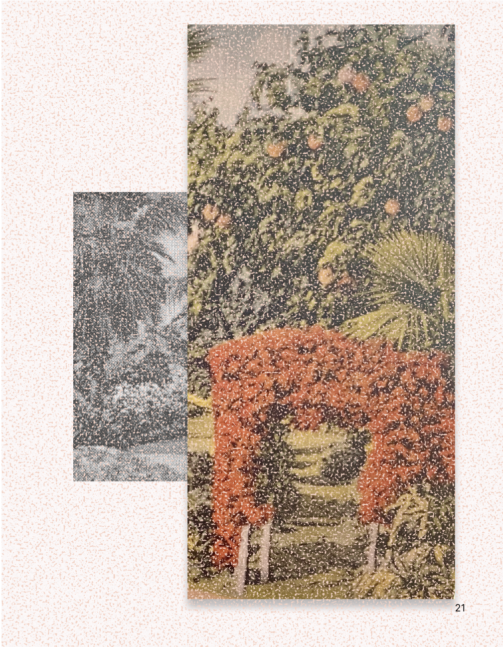 release image