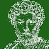 T​h​е​ ​S​t​о​а