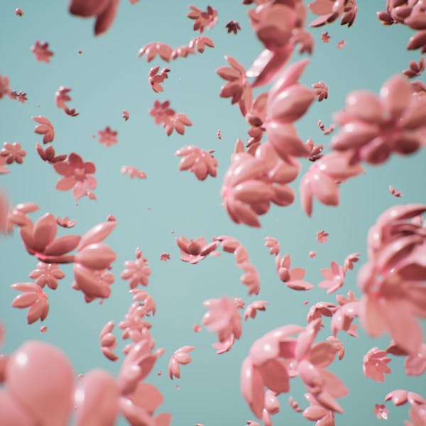 flower window