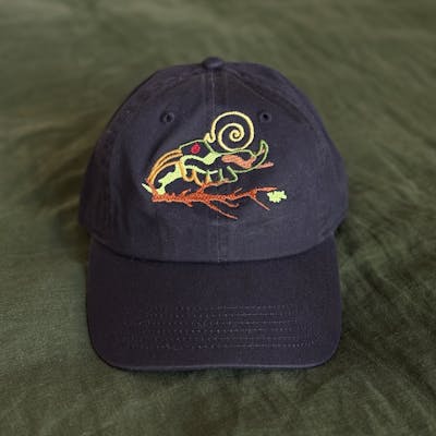 BIOVERSE HAT — A newly imagined bird