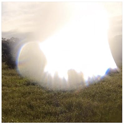 Liquid Light