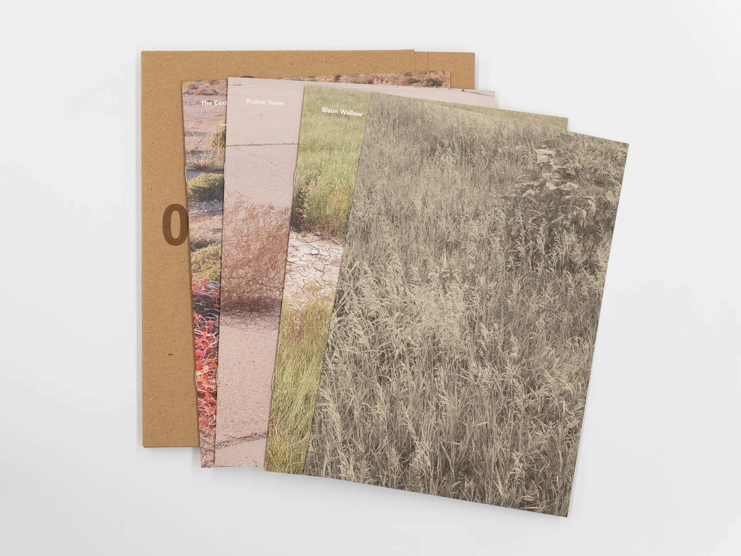 release image