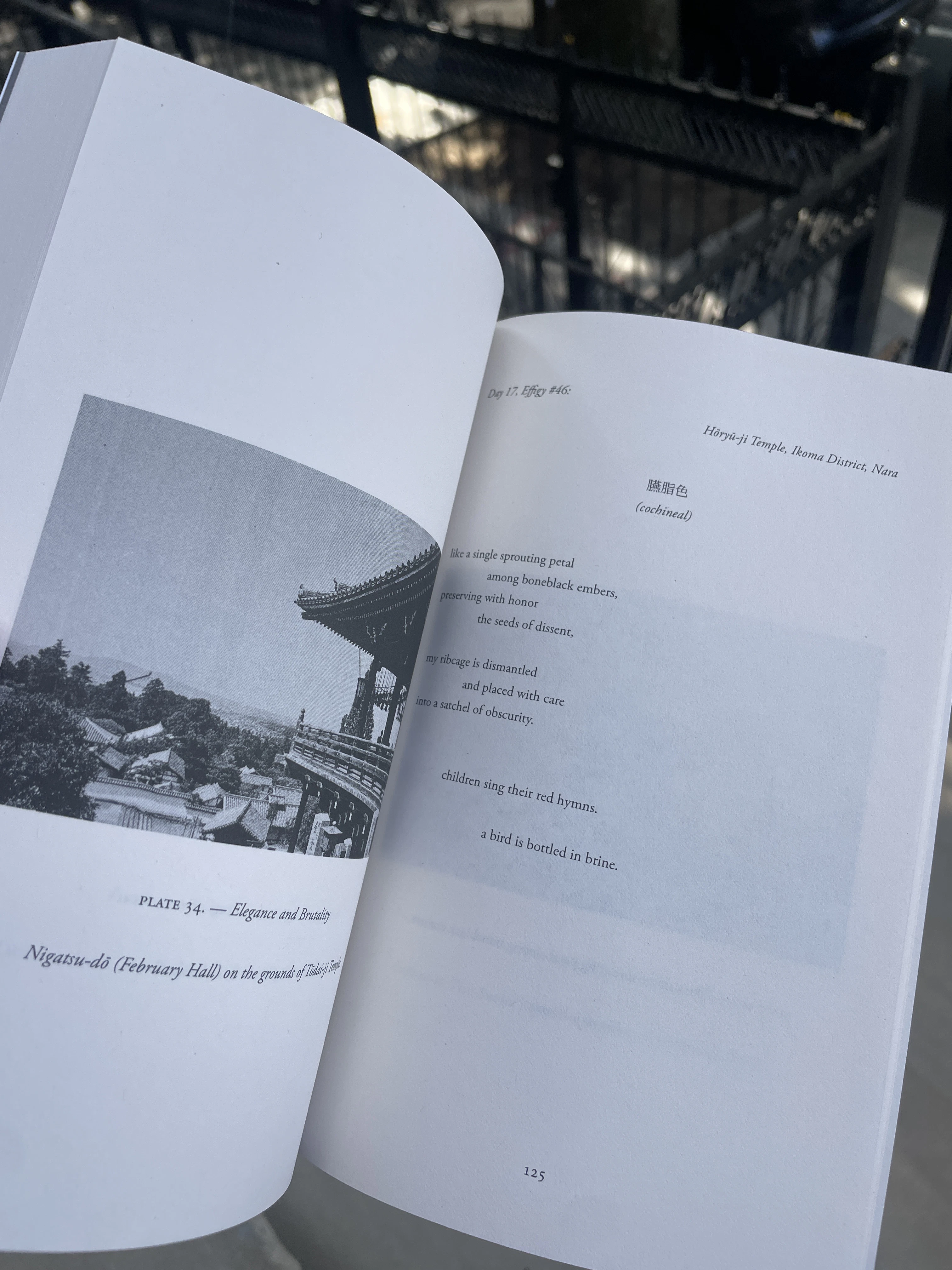 release image