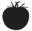 Shibboleth