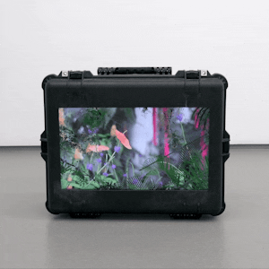 CyberGarden_Case#2 (2019) Geoffrey Pugen
