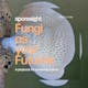 Fungi as your Futurist: A Playbook for Symbiotic Futures