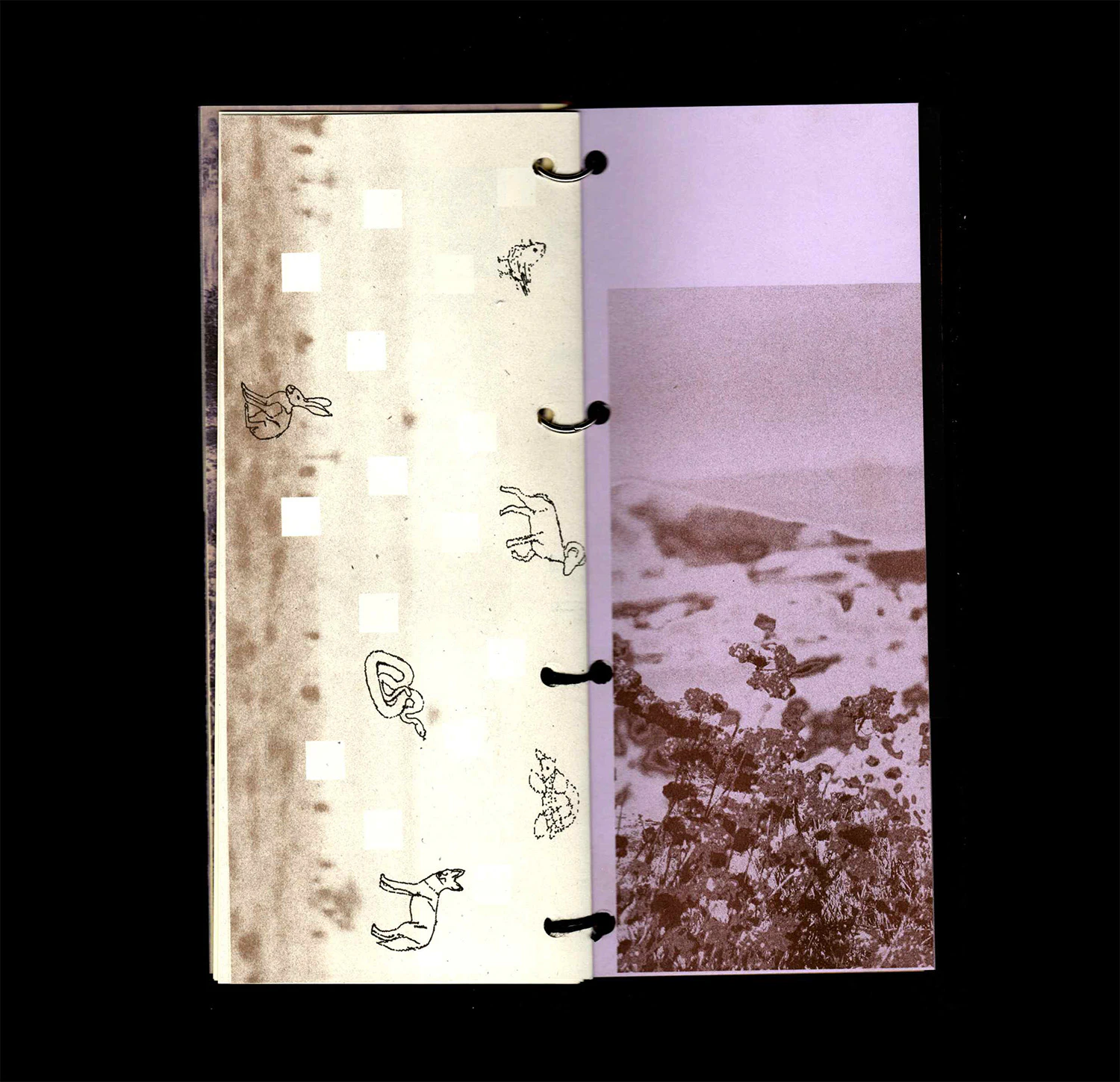 release image