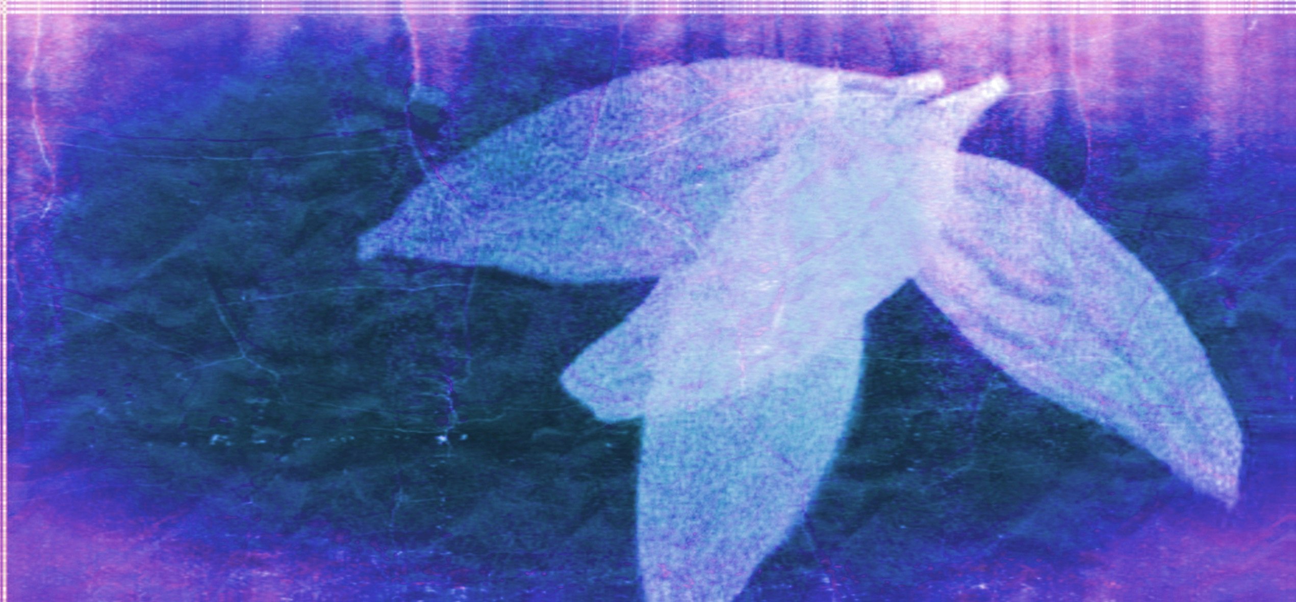 Blues
