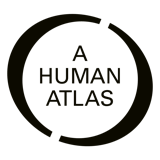 A Human Atlas