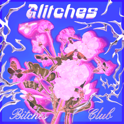 GLITCHES B!TCHES CLUB (VA001)