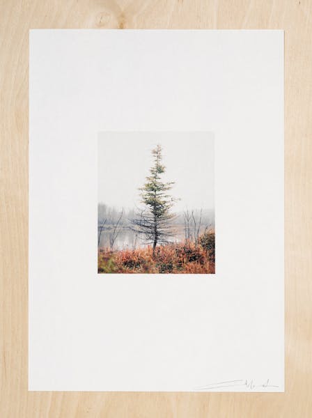 On The Line |  Limited Edtition Photobook with 3 Prints | Canadian Landscape Fire