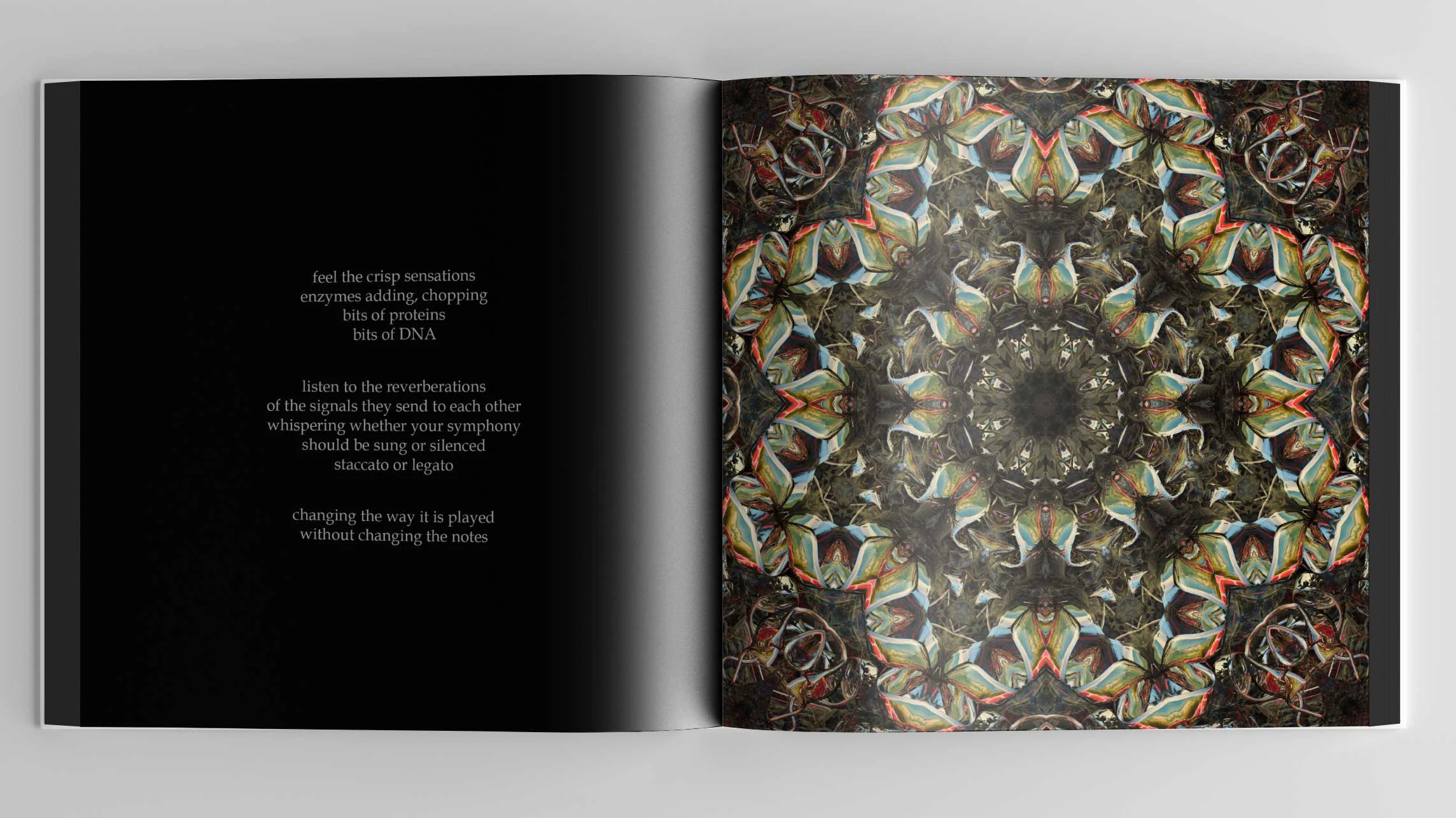spread from "A Guided Sublimation (Portals)" artist book by Laura Splan