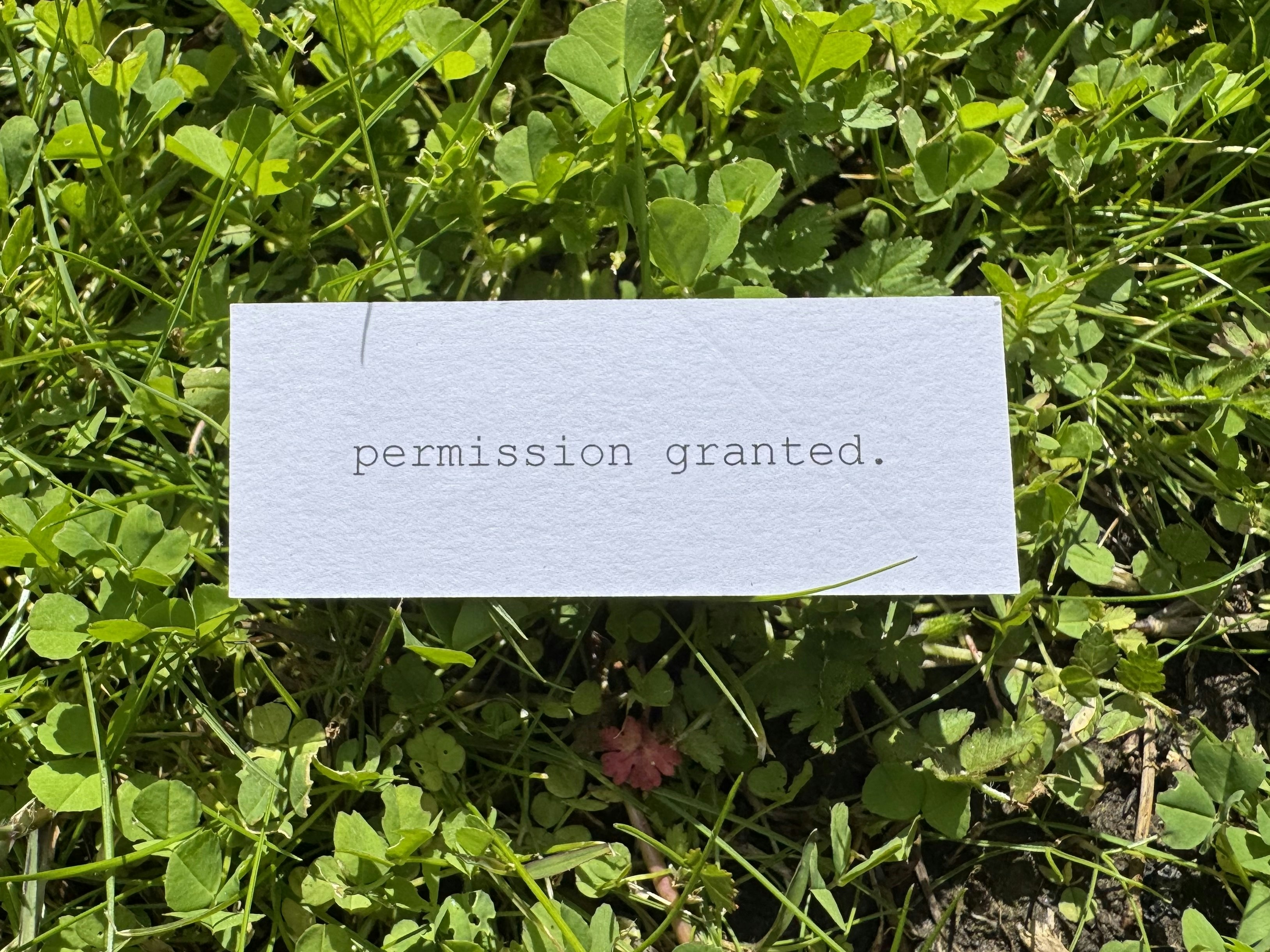 release image