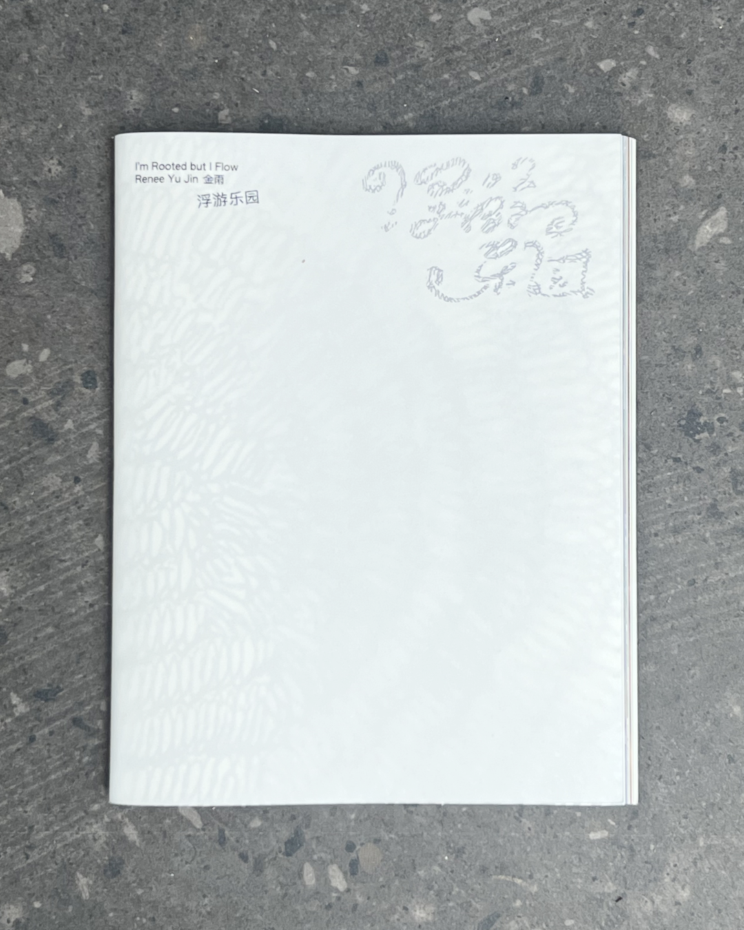 release image