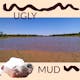 UGLY MUD