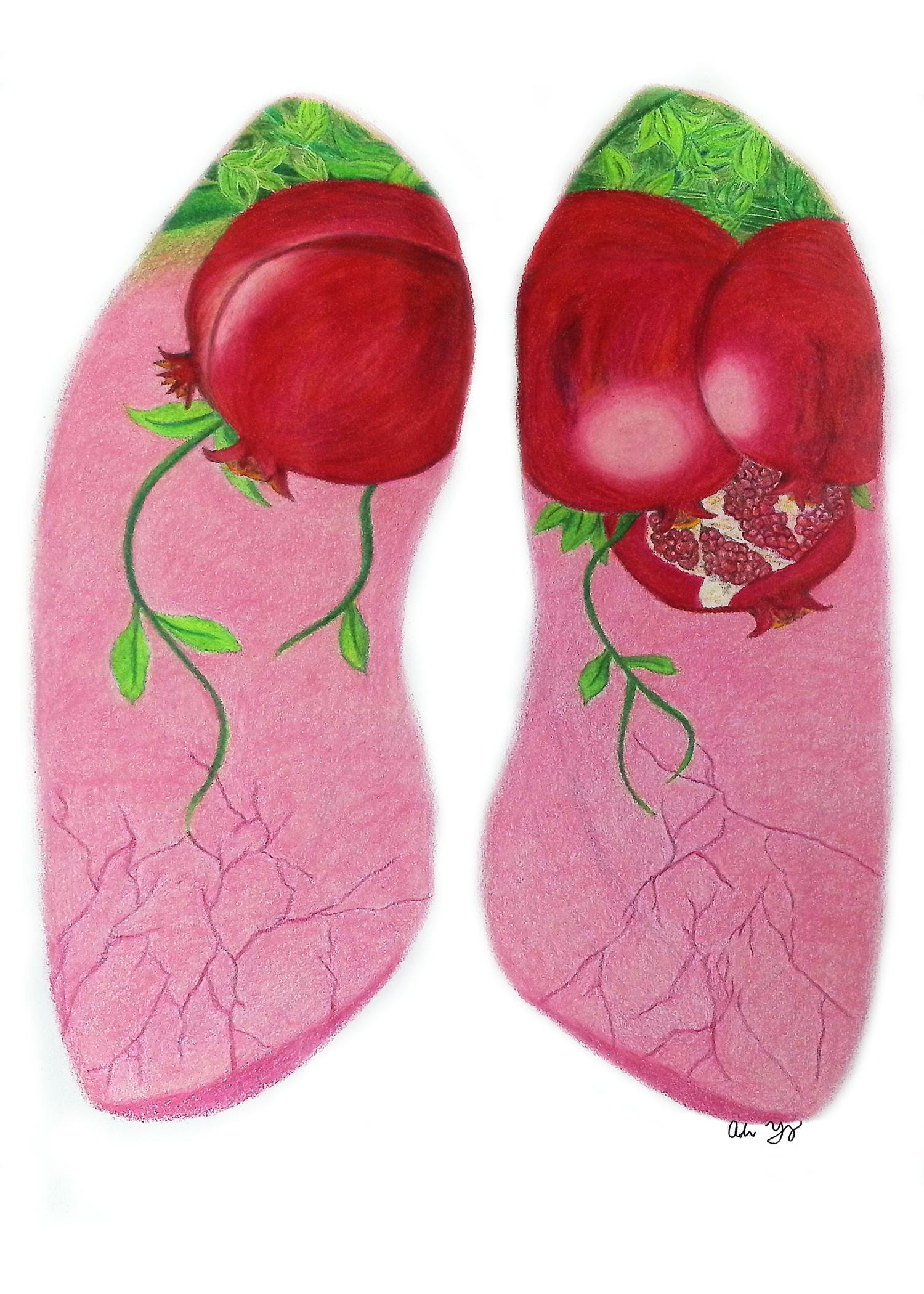 Pomegranate Lungs