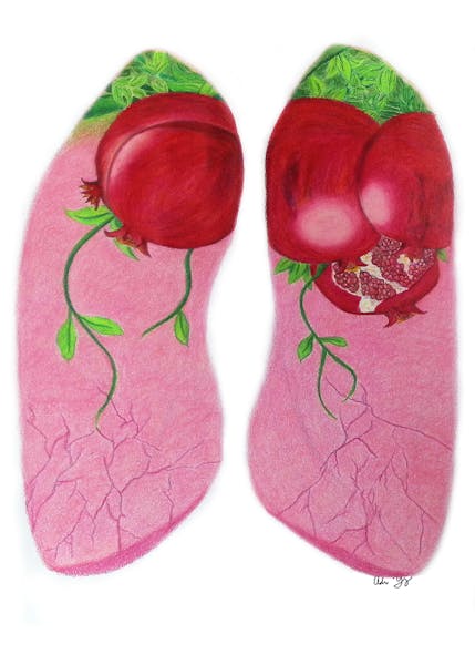 Pomegranate Lungs