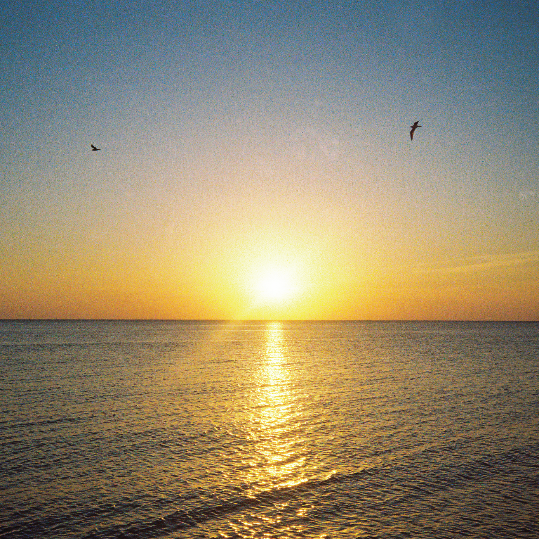 Sunset in Juodkrantė, Lithuania