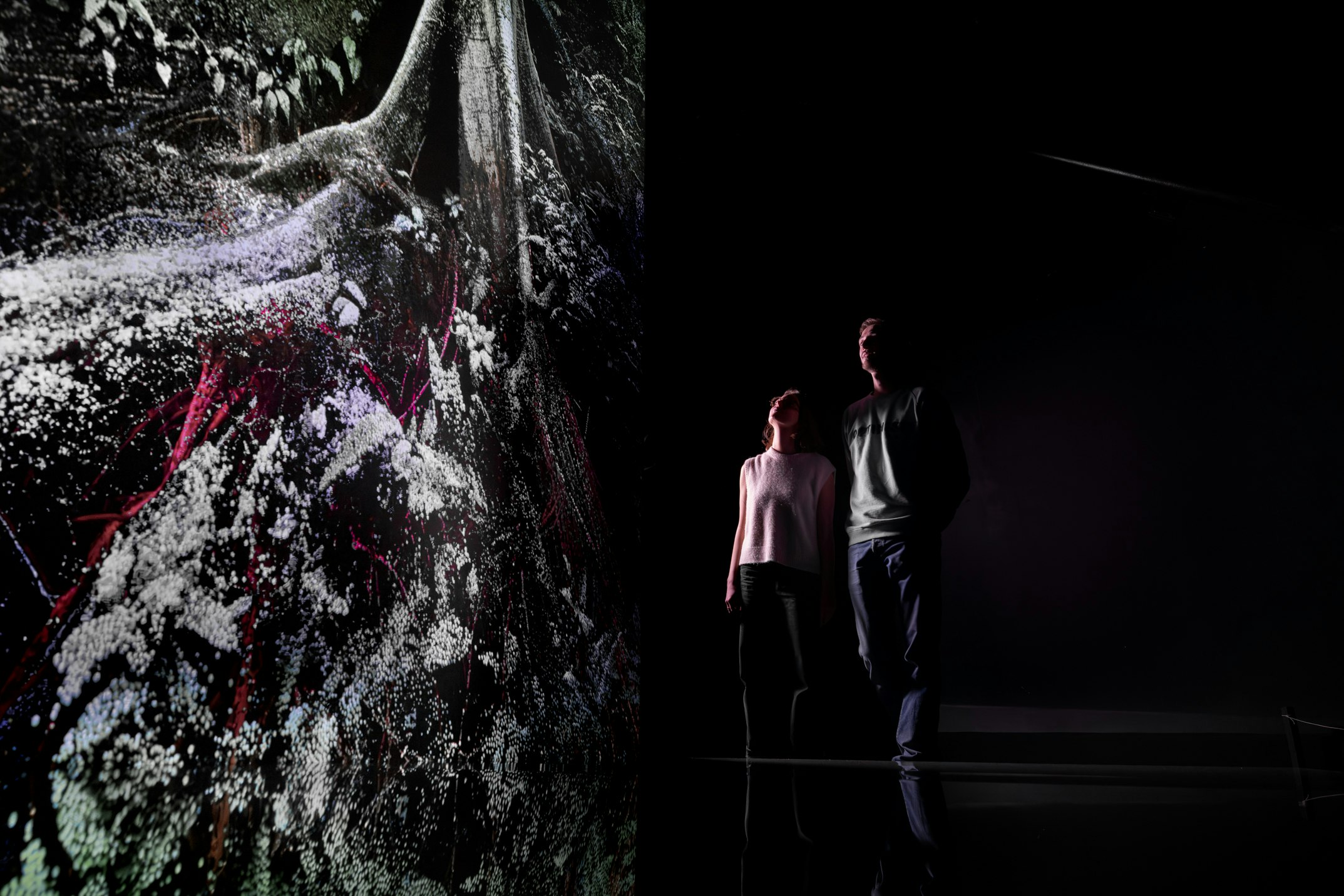 Credit: Antonin Weber / Marshmallow Laser Feast