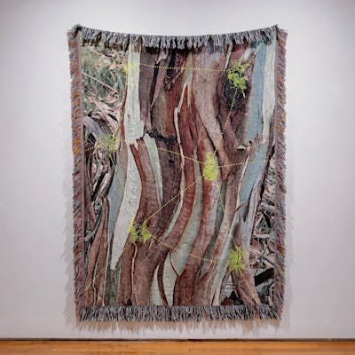 Bark Beetle Throw