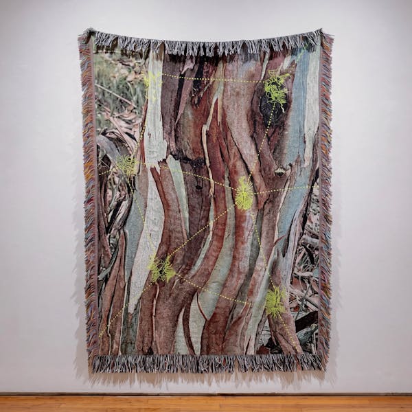 Bark Beetle Throw