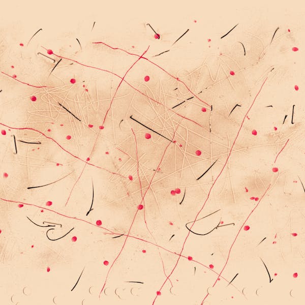 Fragments of Spirit Vol. 1 - ECOllective enSEMBLE