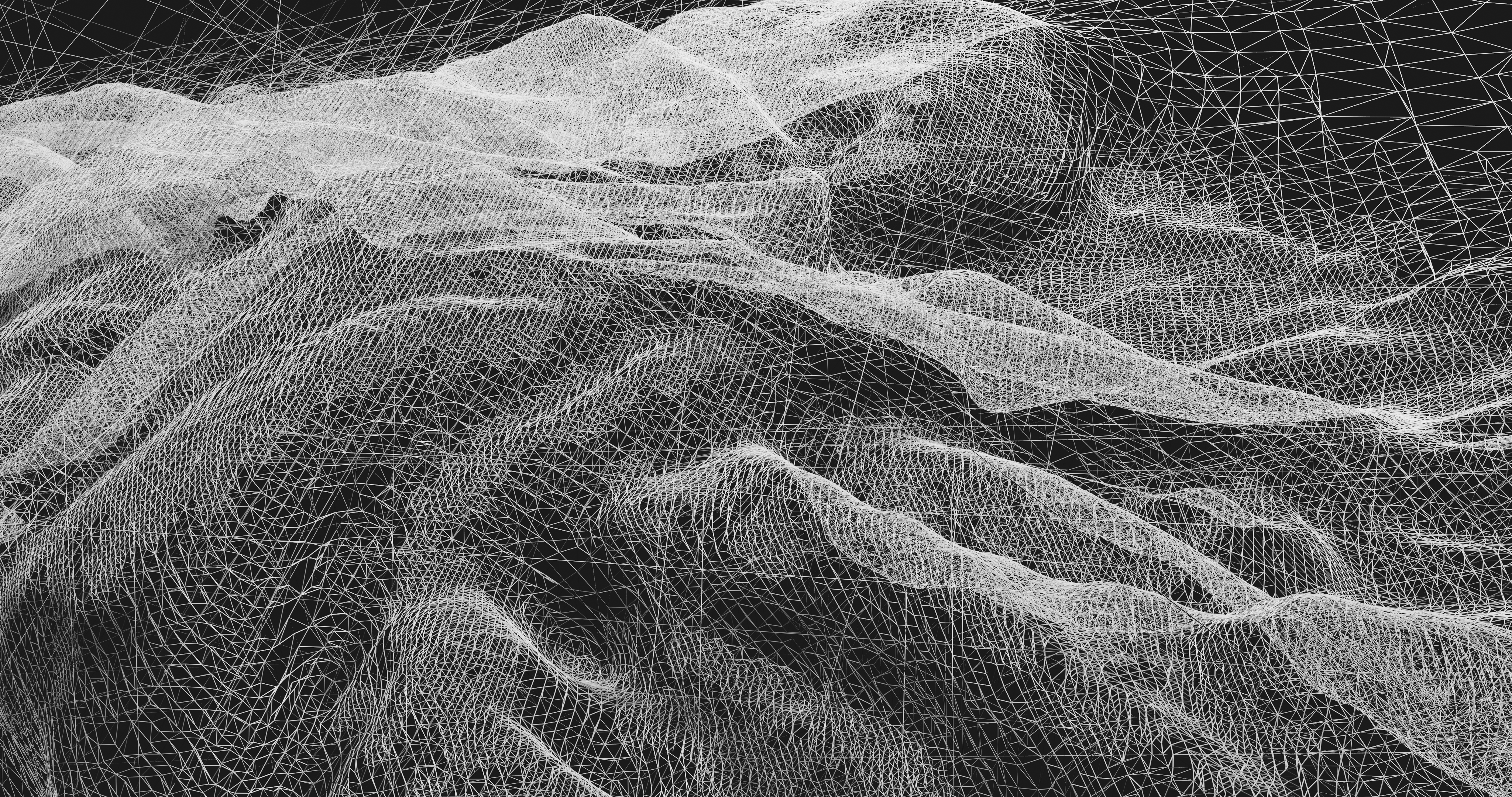 black and white print on Dibond depicting a 3D wireframe world