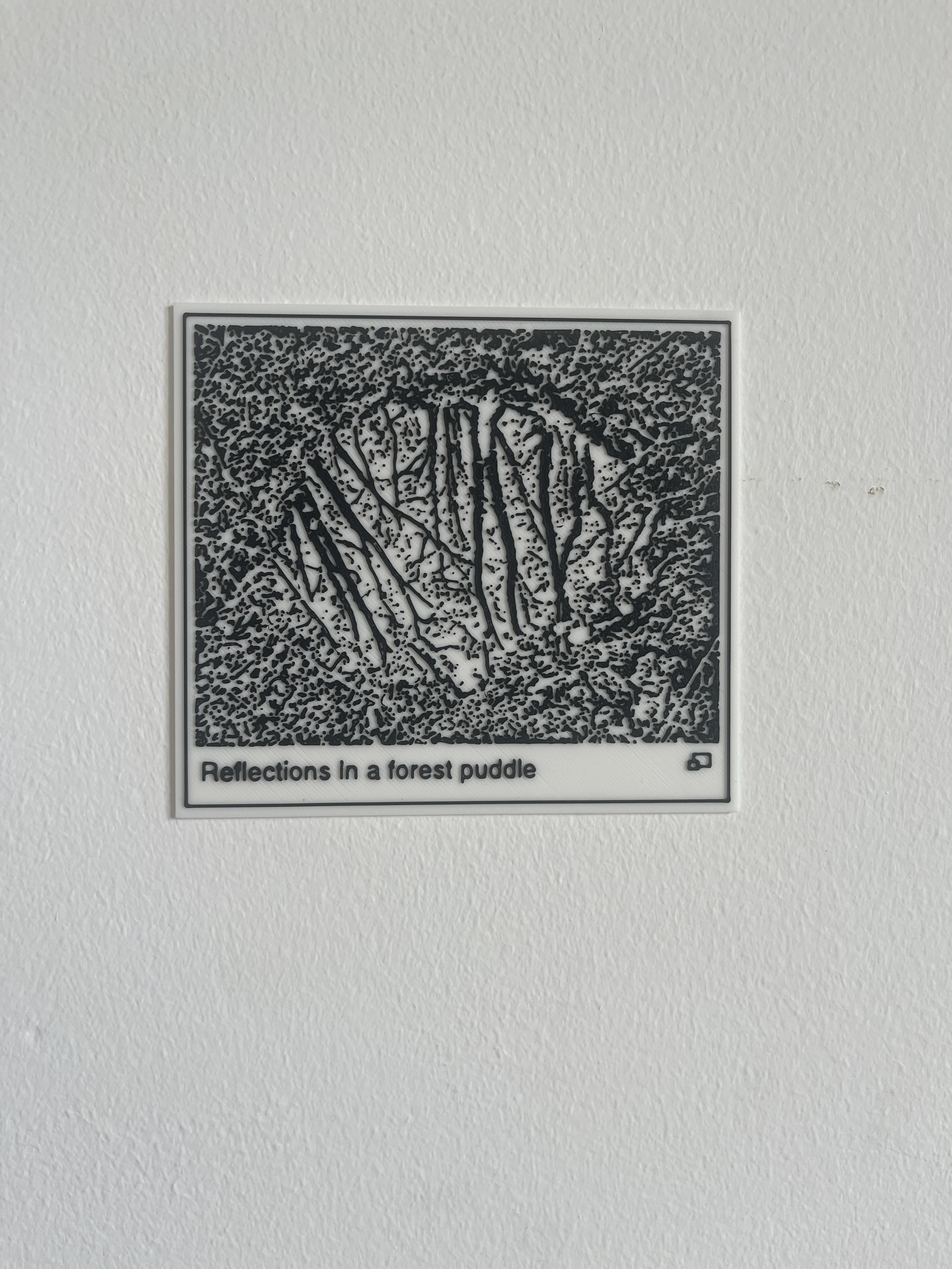 Reflections in a Forest Puddle Print on a white wall