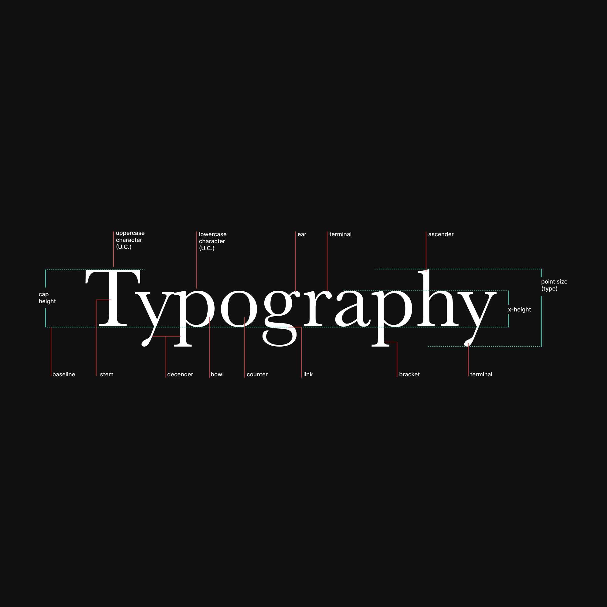 The image displays the word 'Typography' in a serif font with labeled parts of letter anatomy. Green lines and labels point to specific elements including: cap height, baseline, stem, descender, bowl, counter, link, bracket, terminal, ascender, x-height, ear, uppercase and lowercase characters, and point size.