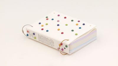 Thesaurus of Child Ecology