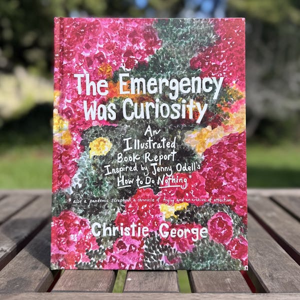 The Emergency Was Curiosity