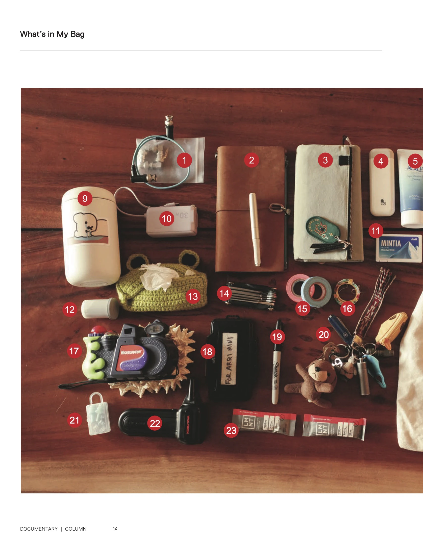 Excerpt from our What's in My Bag column