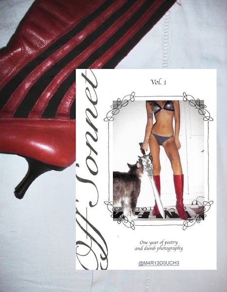 volume 1 : a year of poetry and dumb photography