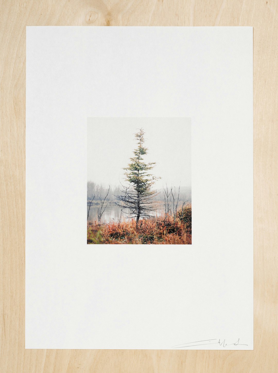 On The Line #2, Chroma print on 70g Kozo Paper. Signed Print 210mm x 297mm ( 8.3" x 11.7") 