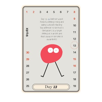 Quirky Collection of DBT Exercises (Visualized)