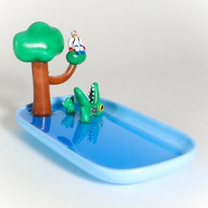 'So Screwed' Dish Tray