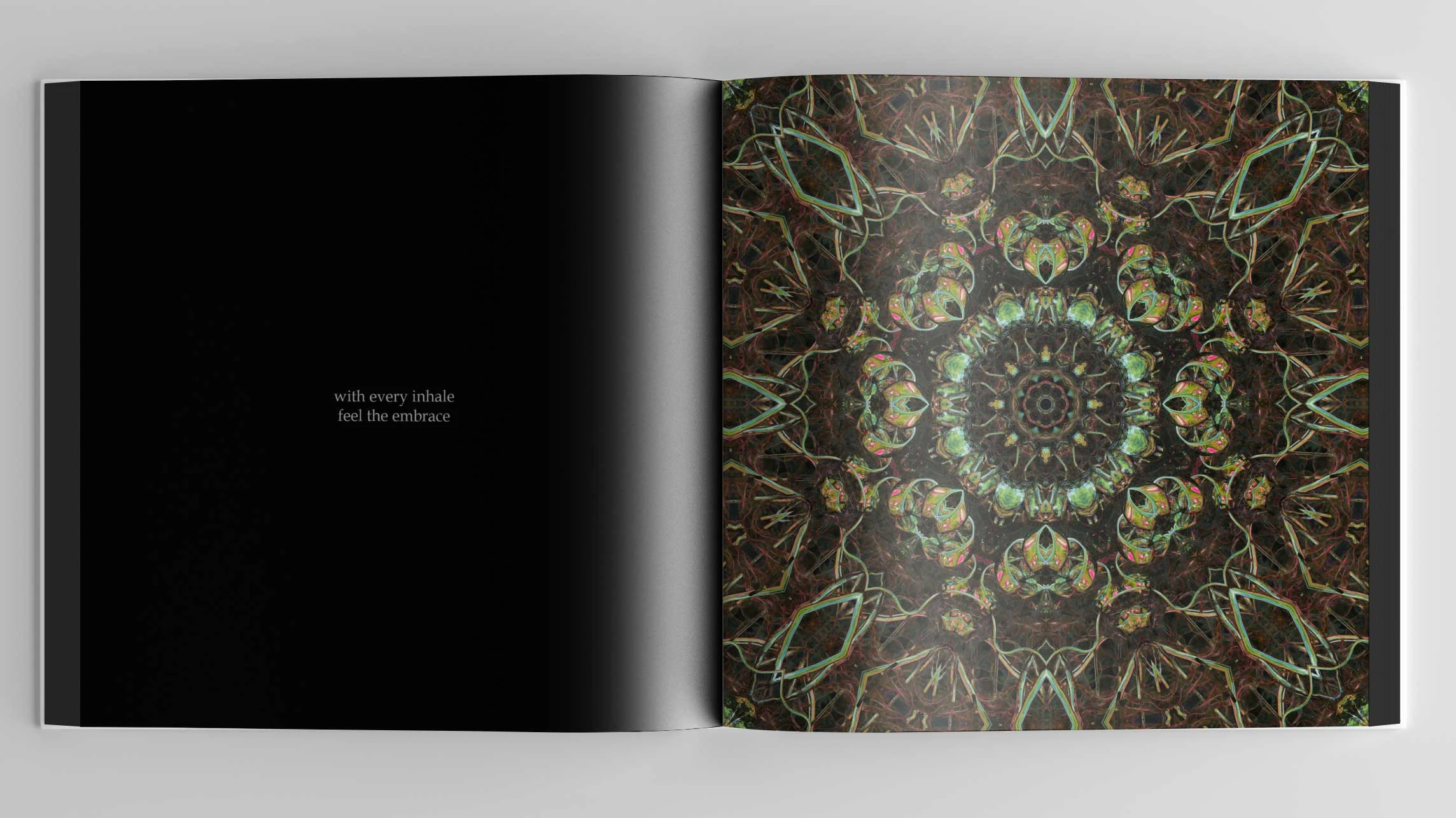 spread from "A Guided Sublimation (Portals)" artist book by Laura Splan