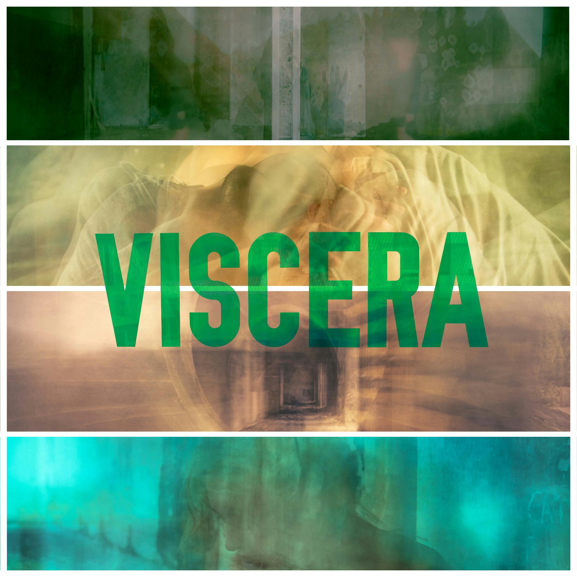 Viscera EP cover