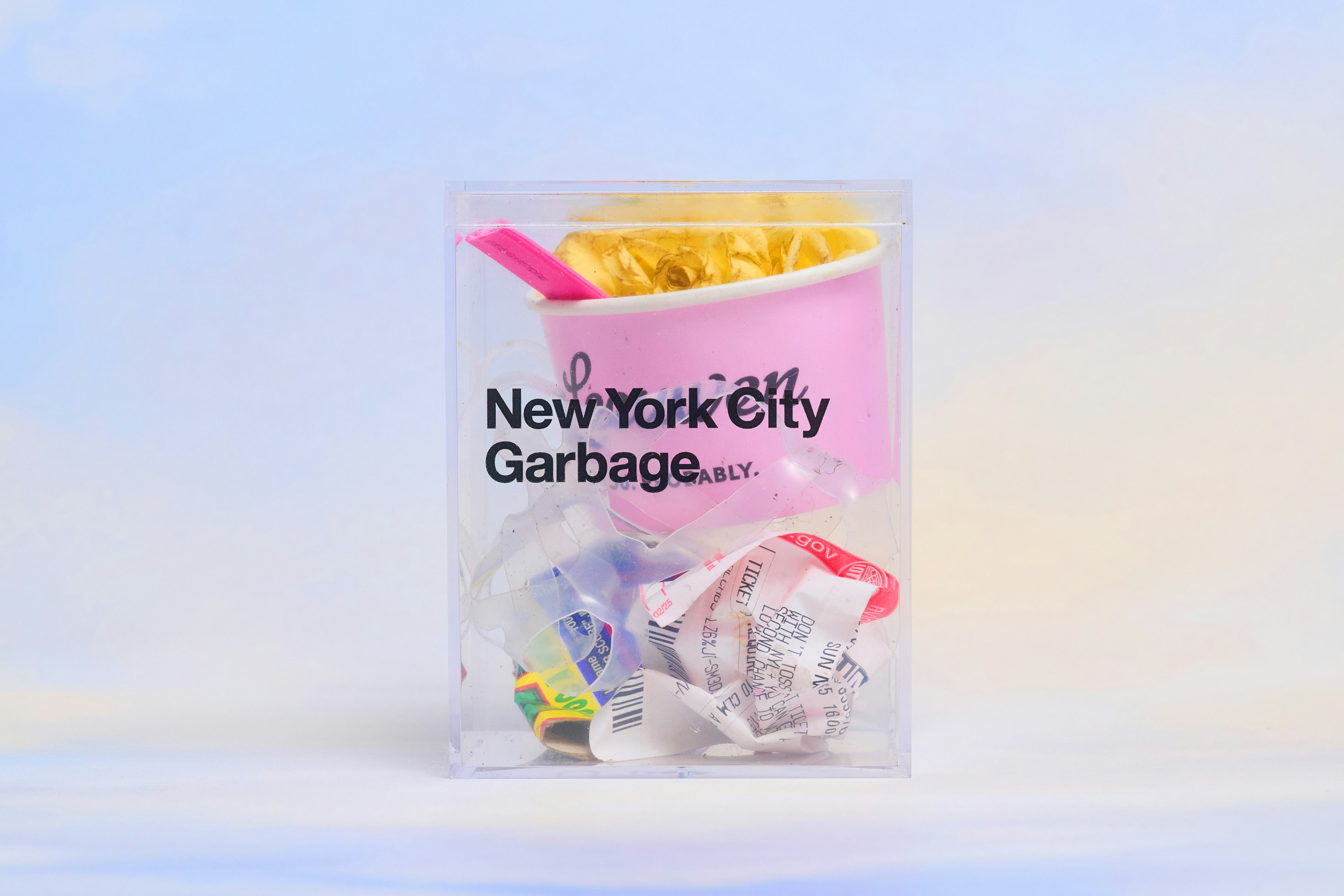 Cube #85 (real rose in the cup)