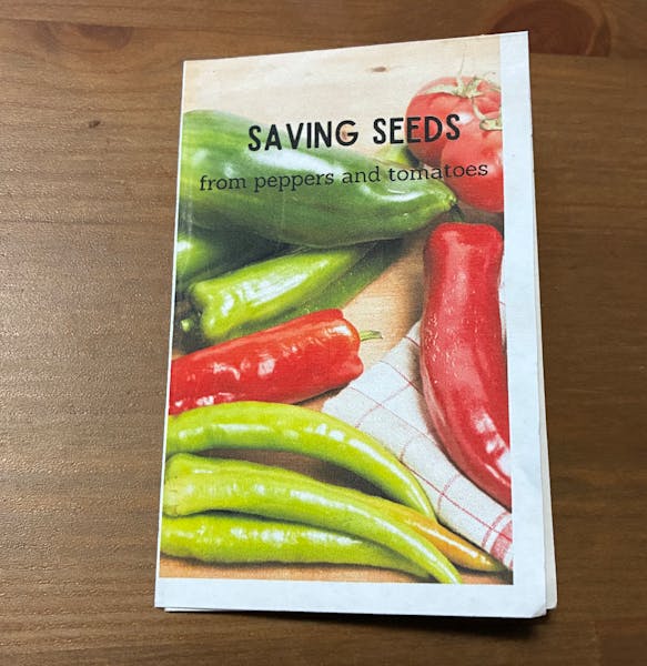 Saving Seeds From Peppers and Tomatoes (PDF download)