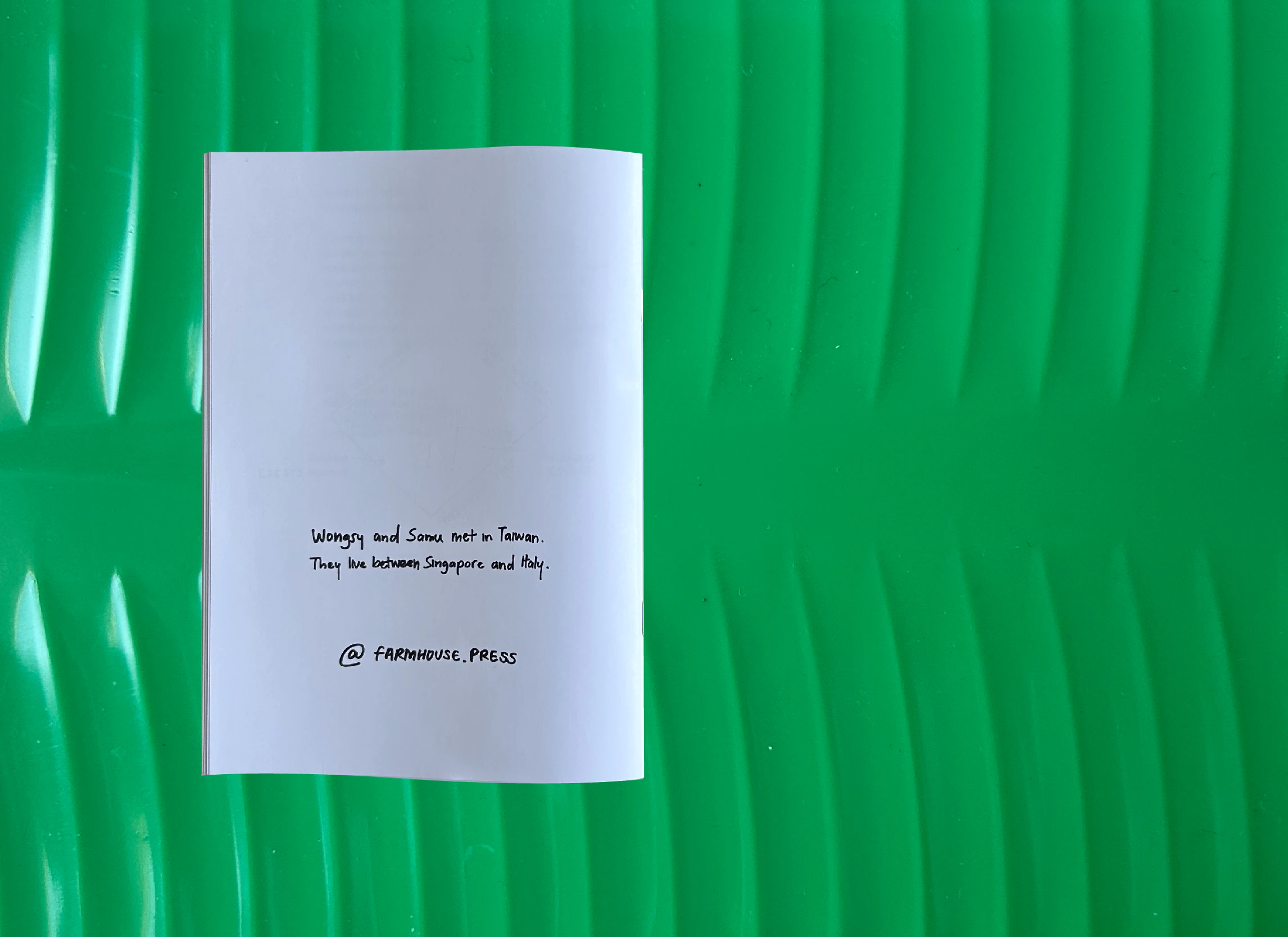back cover of sad or not zine on a fake banana leaf