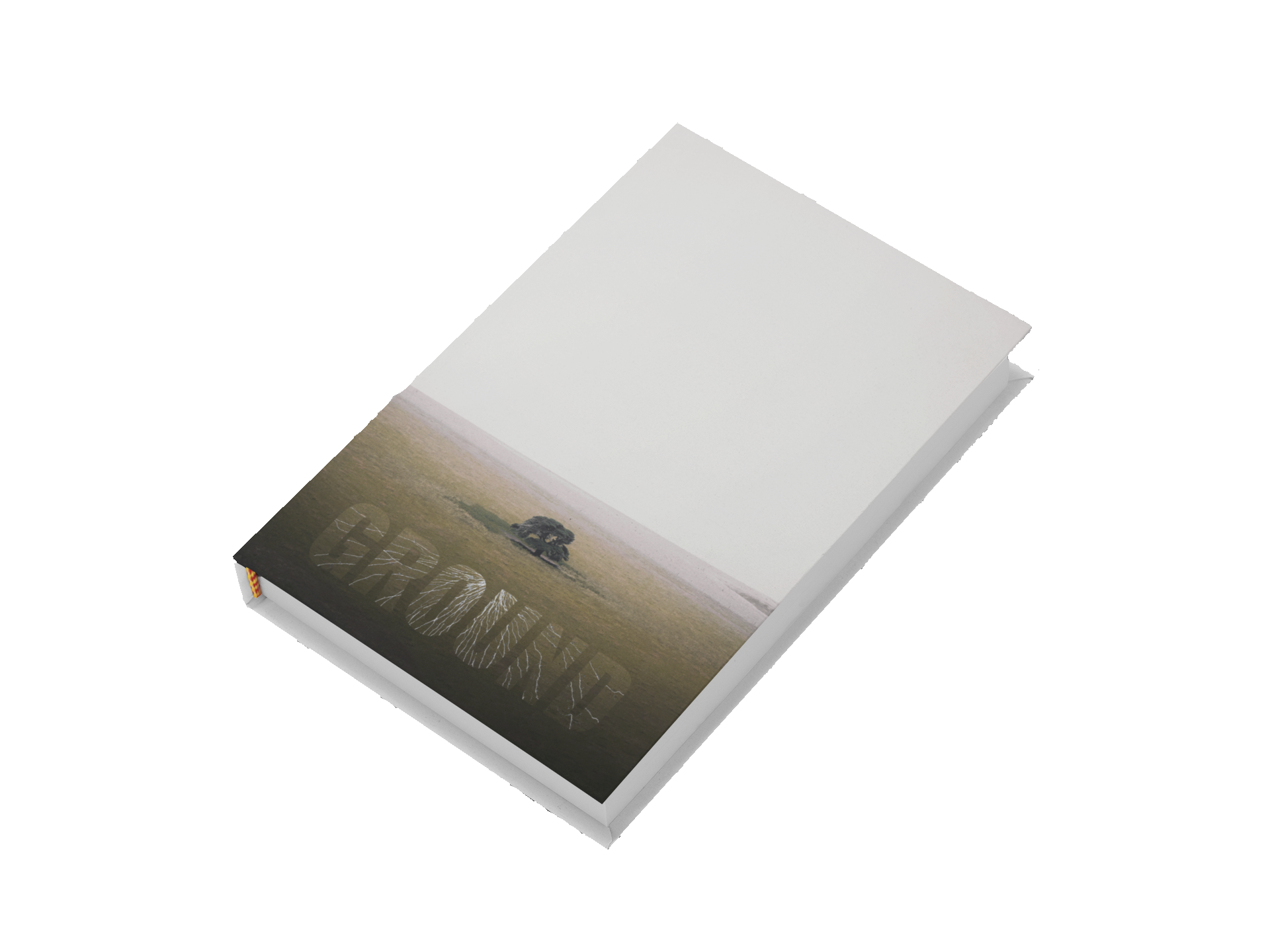 Book Two: GROUND: How Modernity Disconnected from the Earth, Why it Matters, & How to Fix It