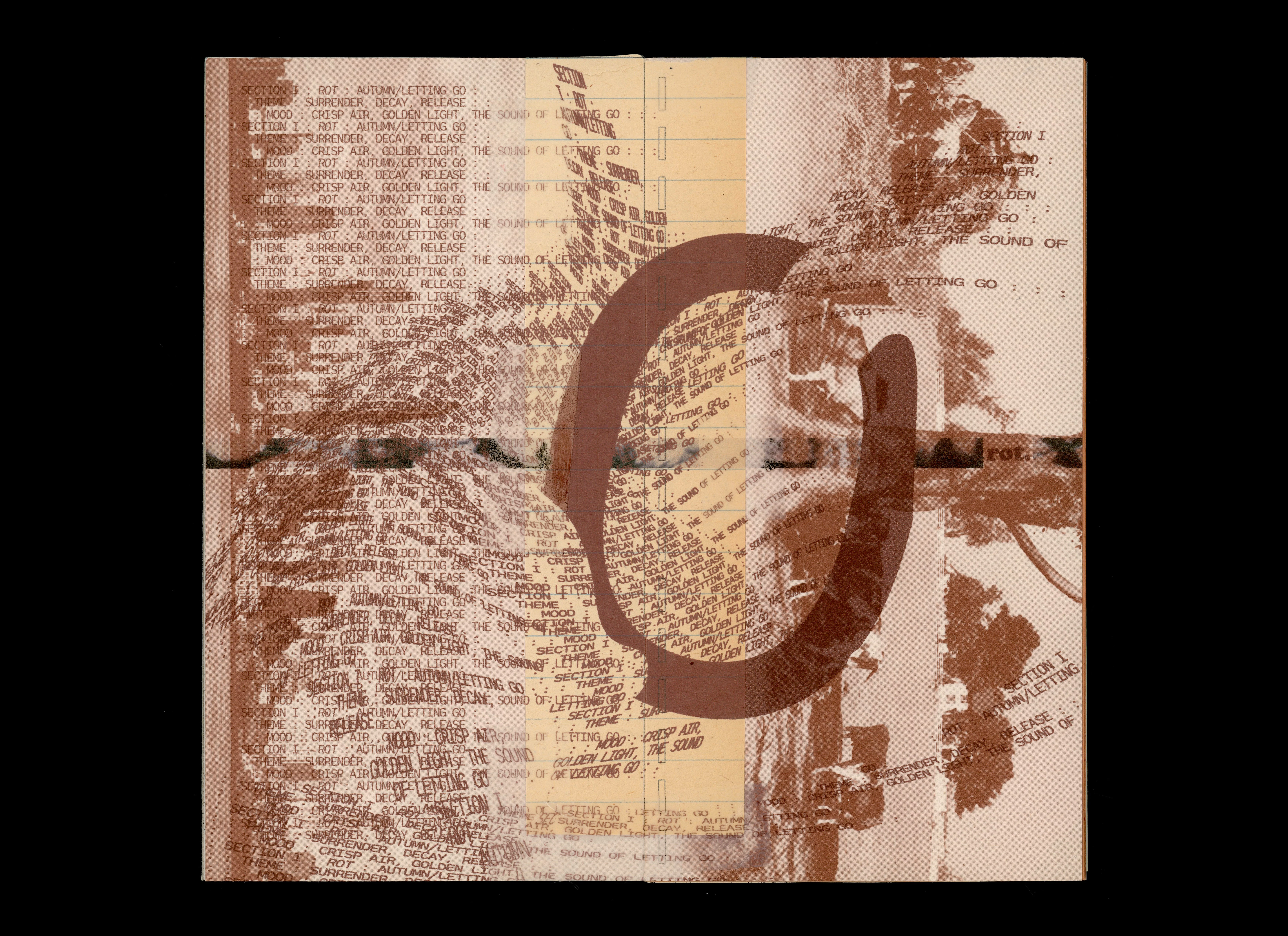 release image
