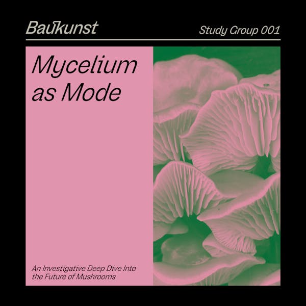 Mycelium As Mode Report - Baukunst Study Group 001